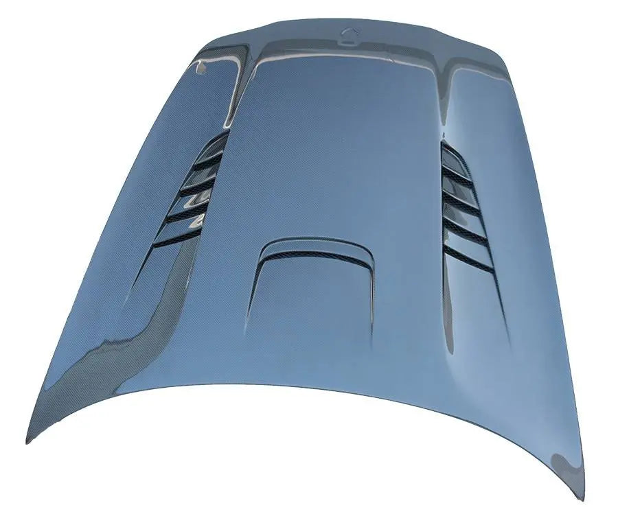 2010-2016 Porsche Panamera 4 doors DTM Style Carbon Fiber Black Hood-1