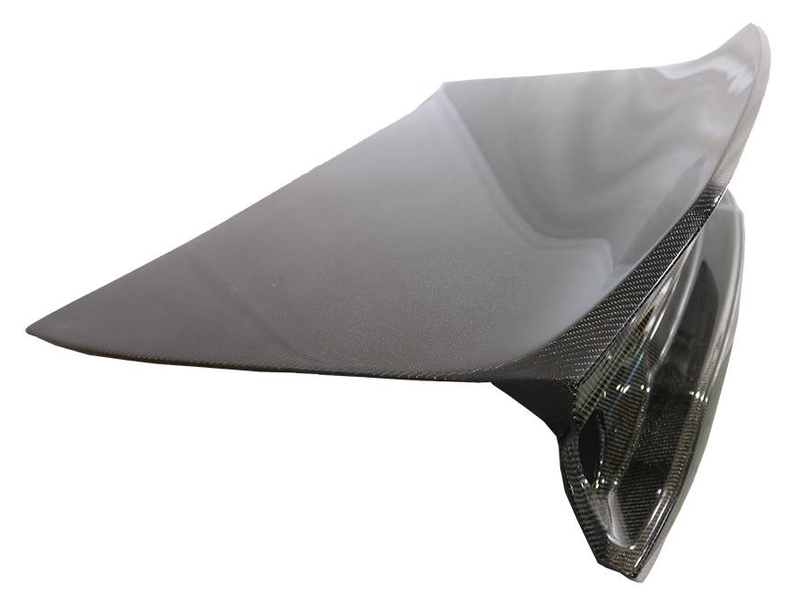 2011-2014 Dodge Charger 4 doors Carbon Fiber Black Trunk-2