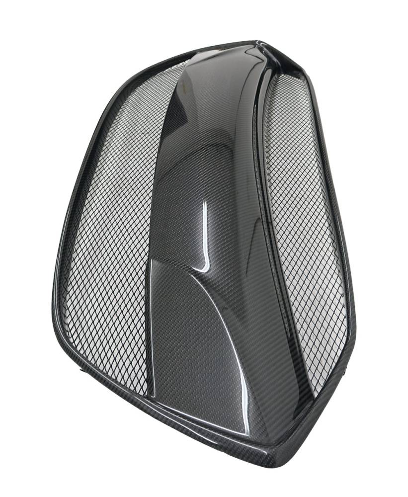 2013-2016 Hyundai Genesis 2 doors Carbon Fiber Grill-2