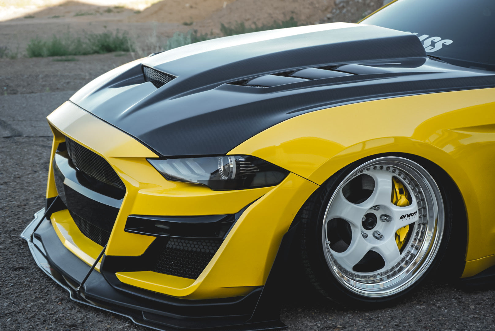 Carbon Fiber Hood Terminator Style for Ford MUSTANG 2018-2023