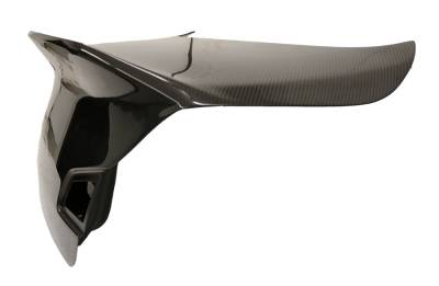 VIS Racing - Carbon Fiber Trunk Demon Style for Infiniti G 37 4DR 09-13 - Image 2
